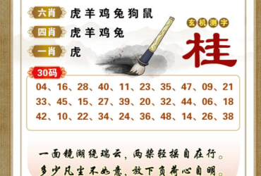 2025066期香港彩九肖30码中特
